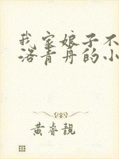 我家娘子不对劲洛青舟的小说