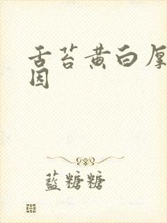 舌苔黄白厚腻原因