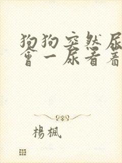 狗狗突然尿频一会一尿看着有点焦虑