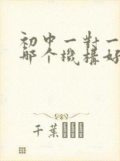 初中一对一补课哪个机构好