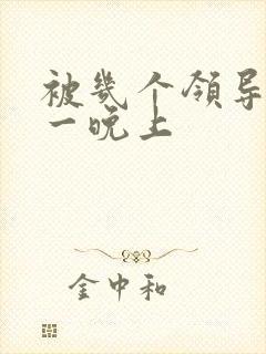 被几个领导玩弄一晚上