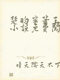 楚昀宁萧王穿越小说免费阅读