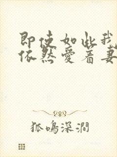 即使如此我还是依然爱着妻子