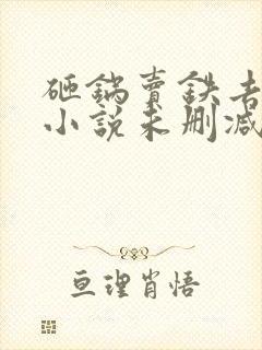 砸锅卖铁去上学小说未删减完整版