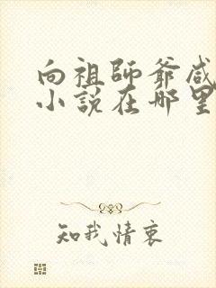 向祖师爷咸鱼的小说在哪里去看