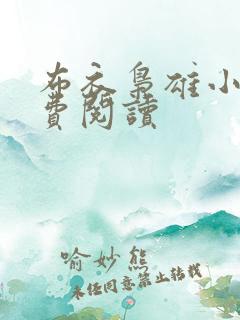 布衣枭雄小说免费阅读