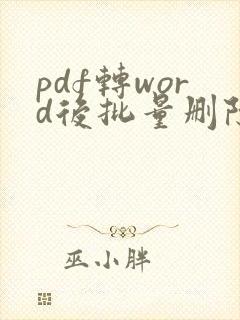pdf转word后批量删除文本框