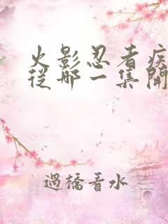 火影忍者疾风传从哪一集开始