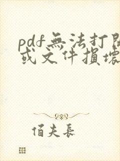 pdf无法打开或文件损坏