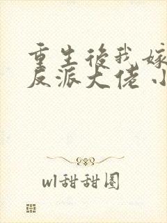 重生后我嫁给了反派大佬 小说