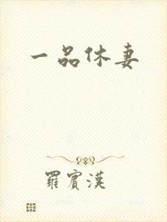一品休妻