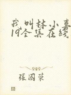 我叫林小喜今年19全集在线播放
