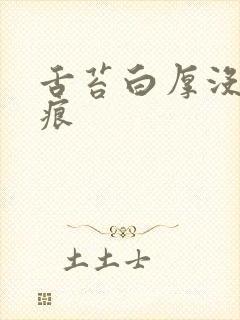 舌苔白厚没有齿痕