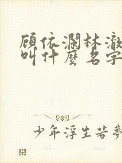 顾依澜林澈小说叫什么名字