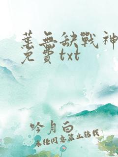 叶无缺战神狂飙免费txt