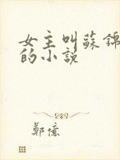 女主叫苏锦重生的小说