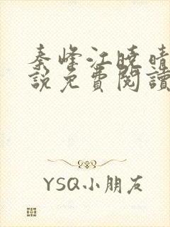 秦峰江晓晴的小说免费阅读最大结局