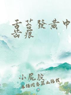 舌苔发黄中间有齿痕