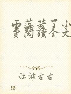 雨落若了小说免费阅读全文最新章节