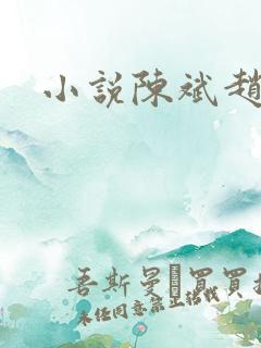 小说陈斌赵心媚