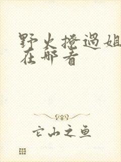 野火撩过姐姐心在哪看