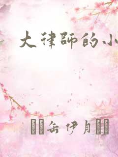 大律师的小老婆