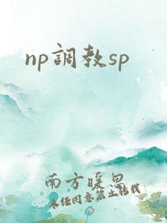 np调教sp