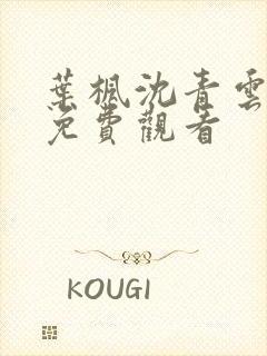 叶枫沈青云短剧免费观看