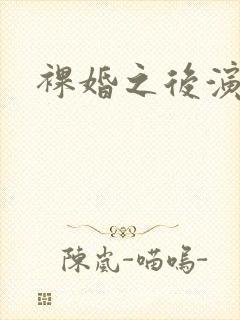 裸婚之后演员表