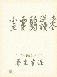 小西的逆袭人生免费阅读全文