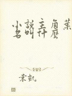 小说主角叶凡书名叫什么