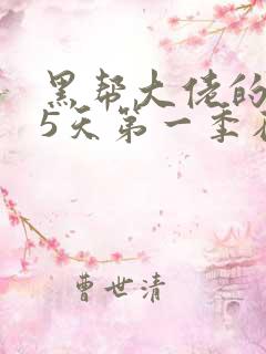 黑帮大佬的365天第一季在线观看