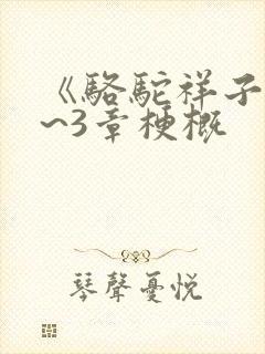 《骆驼祥子》1~3章梗概