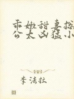 乖嫩甜妻总裁老公太凶猛小说免费阅读