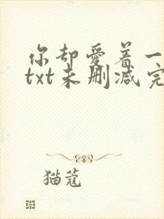 你却爱着一个他txt未删减完整版