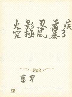 火影忍者疾风传究极风暴3