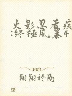 火影忍者疾风传:终极风暴4