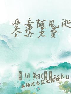 爱意随风逝短剧全集免费