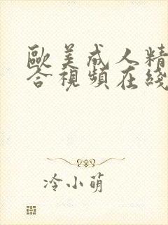 欧美成人精品综合视频在线