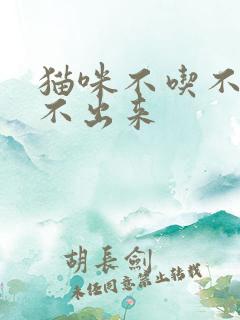 猫咪不吃不喝尿不出来