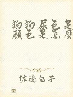 狗狗尿色是碘伏颜色是怎么了