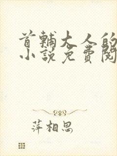 首辅大人的宠妾小说免费阅读