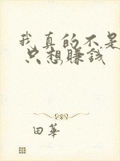 我真的不是反派 只想赚钱