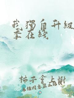 我独自升级第二季在线