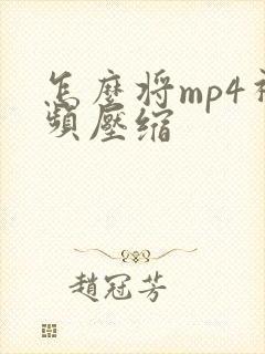 怎么将mp4视频压缩