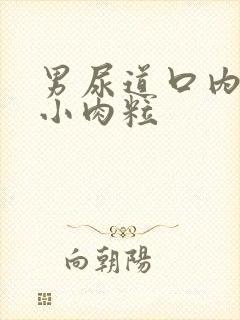 男尿道口内侧长小肉粒