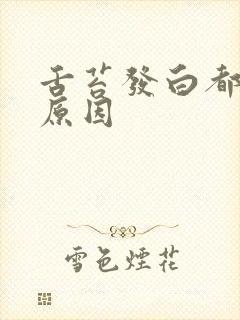 舌苔发白都什么原因