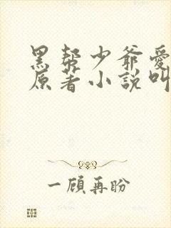 黑帮少爷爱上我原著小说叫什么