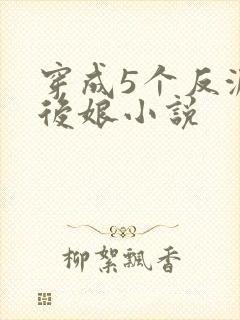 穿成5个反派的后娘小说