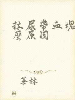 拉尿带血块是什么原因